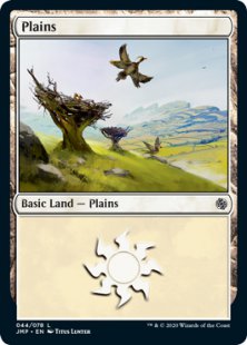 Plains (feathered friends)